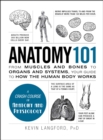 Anatomy 101 : From Muscles and Bones to Organs and Systems, Your Guide to How the Human Body Works - eBook