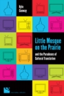 Little Mosque on the Prairie and the Paradoxes of Cultural Translation - eBook