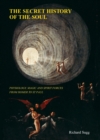 The Secret History of the Soul : Physiology, Magic and Spirit Forces from Homer to St Paul - Book