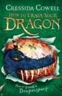 How to Train Your Dragon: How to Break a Dragon's Heart : Book 8 - eBook