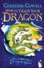 How to Train Your Dragon: How to Betray a Dragon's Hero : Book 11 - eBook
