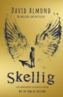 Skellig: the 25th anniversary illustrated edition - Book