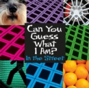 Can You Guess What I Am?: In the Street - Book