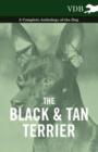 The Black And Tan Terrier - A Complete Anthology of the Dog - - Book