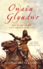 Owain Glyndwr : The Story of the Last Prince of Wales - Book