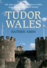 Tudor Wales : Full-Colour Guide to the Many Places in Wales Associated with This Famous Dynasty - eBook