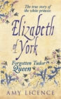 Elizabeth of York : The Forgotten Tudor Queen - eBook