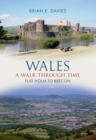 Wales A Walk Through Time - Flat Holm to Brecon - eBook