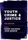 Youth Crime and Justice - Book