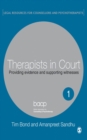 Therapists in Court : Providing Evidence and Supporting Witnesses - eBook