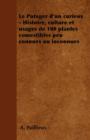 Le Potager d'Un Curieux - Histoire, Culture Et Usages de 100 Plantes Comestibles Peu Connues Ou Inconnues - Book