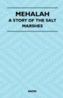 Mehalah - A Story Of The Salt Marshes - Book