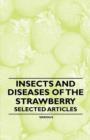 Insects and Diseases of the Strawberry - Selected Articles - Book