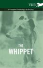 The Whippet - A Complete Anthology of the Dog - eBook
