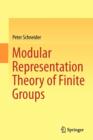 Modular Representation Theory of Finite Groups - Book