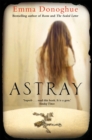 Astray - Book