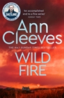 Wild Fire - eBook