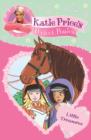 Katie Price's Perfect Ponies: Little Treasures : Book 2 - eBook