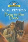 Pony In The Dark - eBook