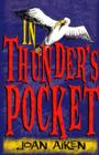 In Thunder's Pocket - eBook