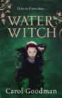 Water Witch - eBook