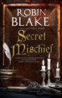 Secret Mischief - eBook