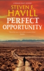 Perfect Opportunity - eBook