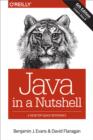 Java in a Nutshell : A Desktop Quick Reference - eBook