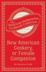 New American Cookery, or Female Companion - eBook