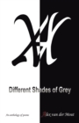 Different Shades of Grey - eBook