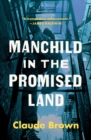 Manchild in the Promised Land - eBook