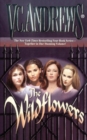 The Wildflowers (omnibus) : Misty--Star--Jade--Cat - Book
