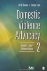 Domestic Violence Advocacy : Complex Lives/Difficult Choices - Book