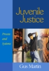 Juvenile Justice : Process and Systems - eBook