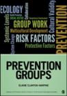 Prevention Groups - Book