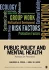 Public Policy and Mental Health : Avenues for Prevention - Book