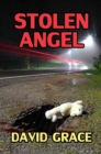 Stolen Angel - eBook