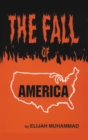 Fall of America - eBook