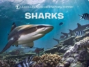 Sharks - Book