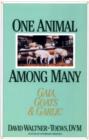 One Animal Among Many : Gaia, Goats & Garlic - eBook