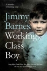 Working Class Boy - Book