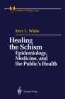 Healing the Schism : Epidemiology, Medicine, and the Public's Health - eBook