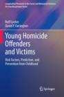 Young Homicide Offenders and Victims : Risk Factors, Prediction, and Prevention from Childhood - Book