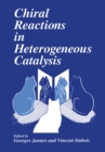 Chiral Reactions in Heterogeneous Catalysis - eBook
