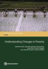 Understanding changes in poverty - Book