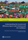 Understanding the income and  efficiency gap in Latin America and the Caribbean - Book