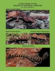 A Field Guide to the Geckos of Northern Territory - Book