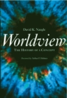 Worldview : The History of a Concept - eBook