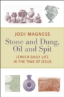 Stone and Dung, Oil and Spit : Jewish Daily Life in the Time of Jesus - eBook