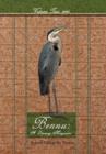 Bennu : A Literary Journal Volume Two 2010 - Book